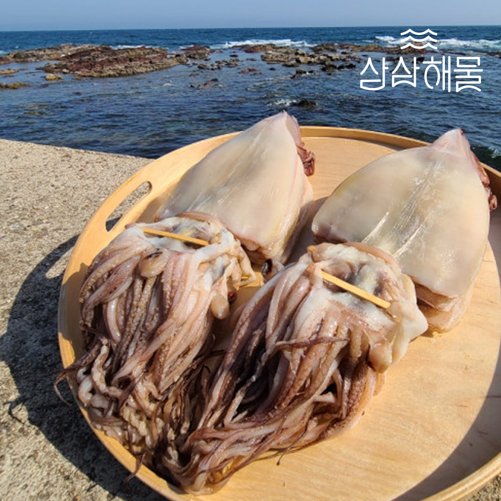 삼삼해물 국내산 반건조 오징어 (소/~800g)