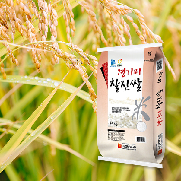 미호품종 경기미 햅쌀 찰진쌀 10kg